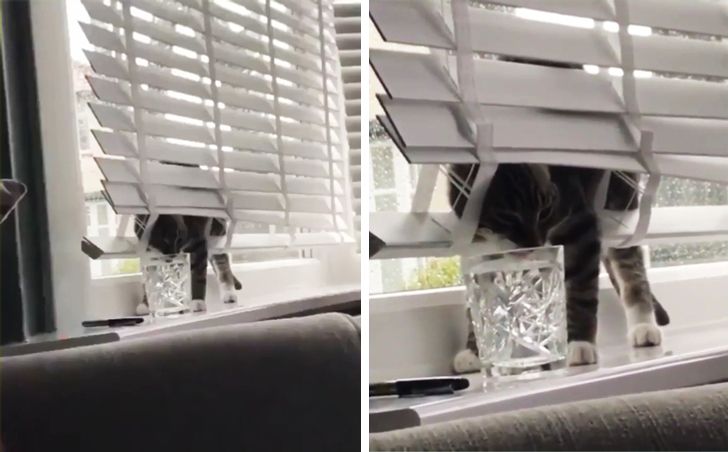 2c579552c1bc532878fd4f8761