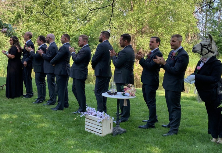 2c57c75207b4ad59a47675be4c