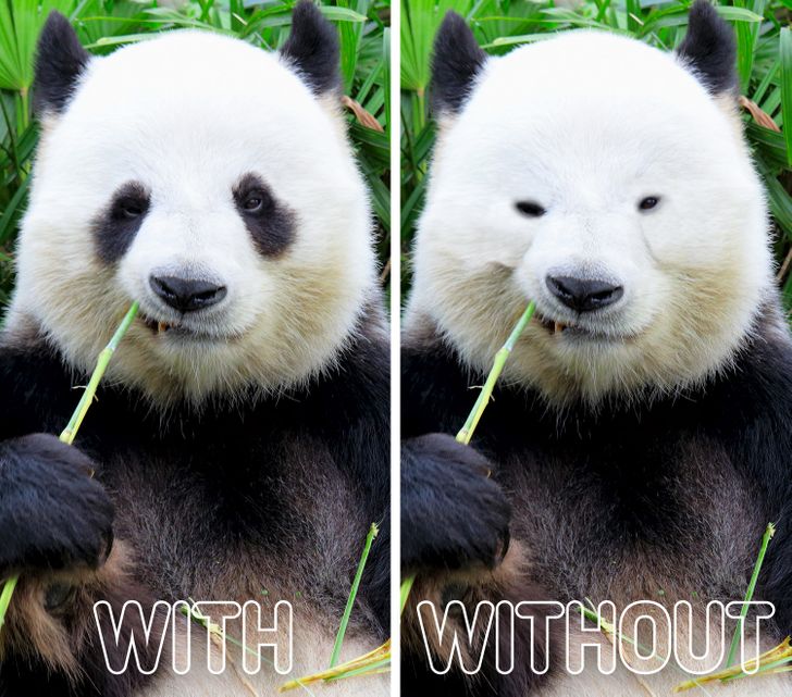 2c5afe5dc6b03b219ad37e3c05