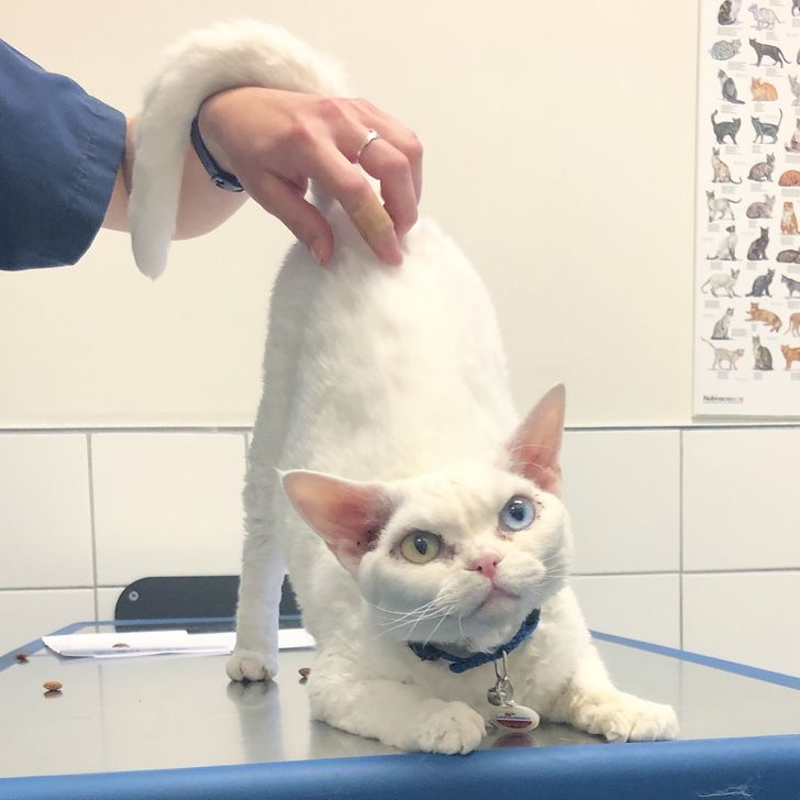 2c5e5f51d787dfa1ad54454b4e