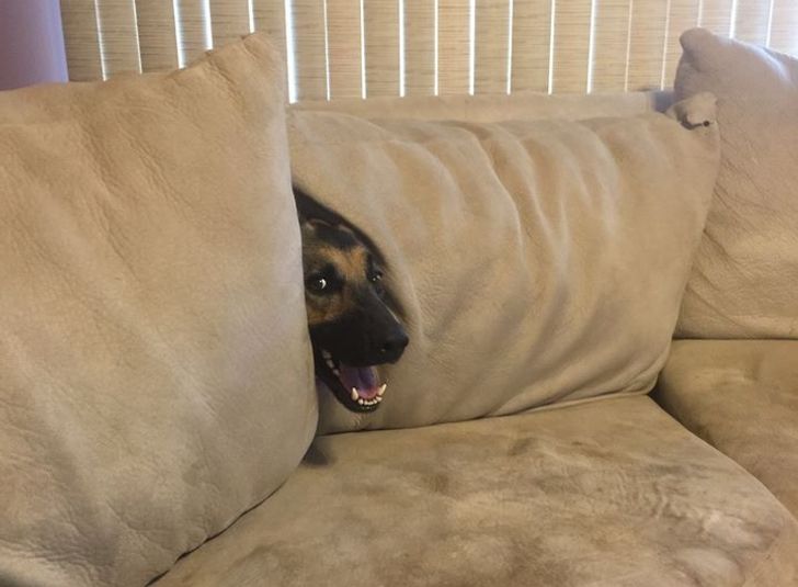 2c74bc549da31a015edd5fcfb8