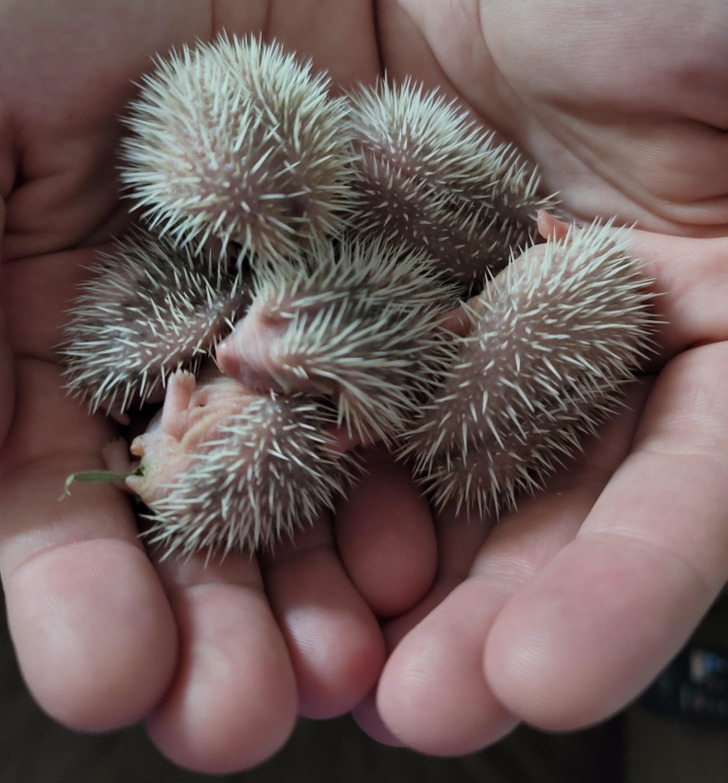 2c78505acb8cd76938b8803ea2