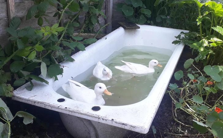 2c794f5ac9b94f032bf5a03604