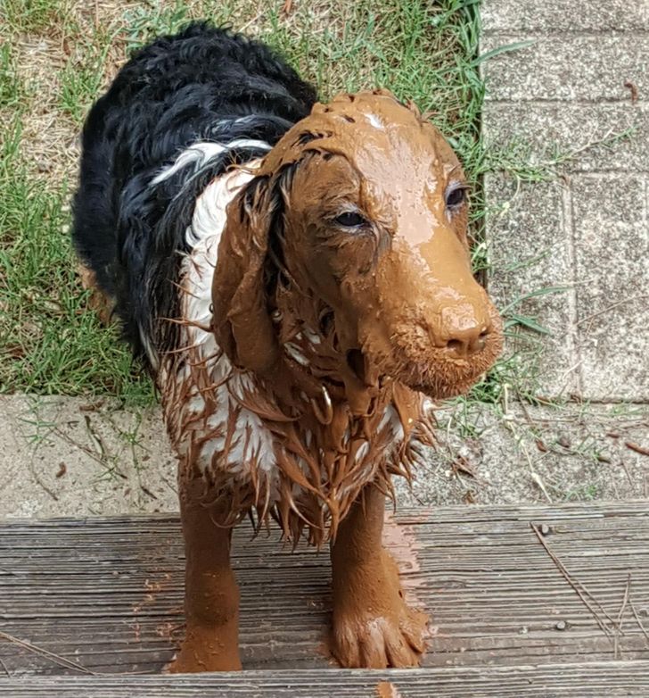 2c7a48552e912f536e8506ea26