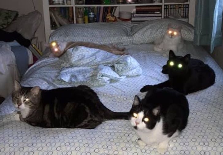 2c822f559cbc9487205d5c5dd6