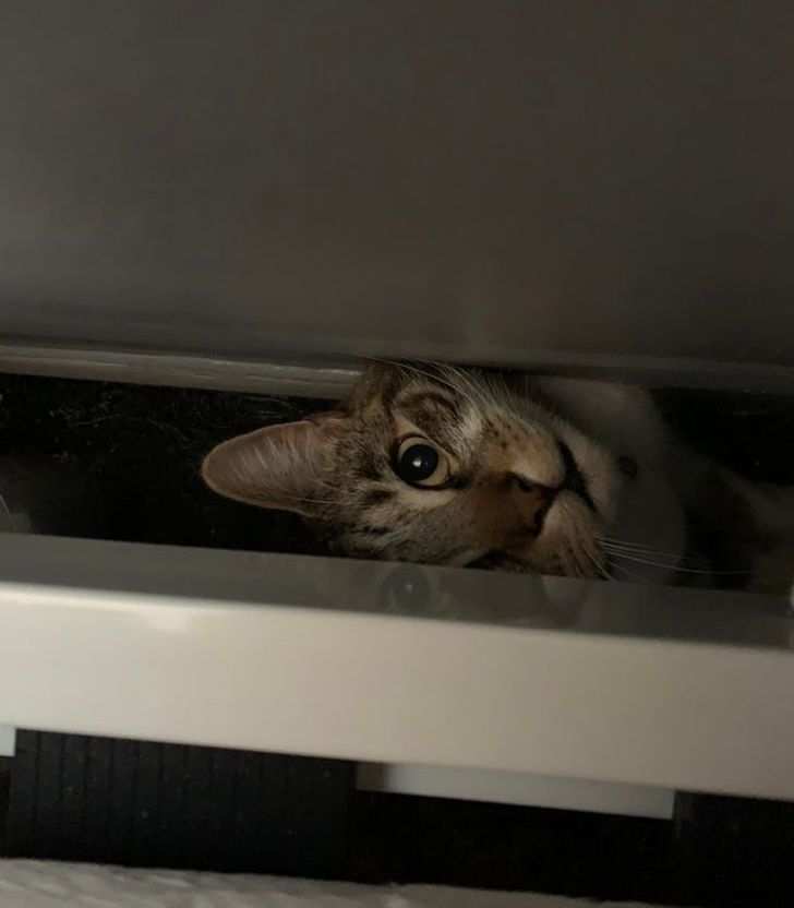 2c83ad58d39b86275fbf3c4820