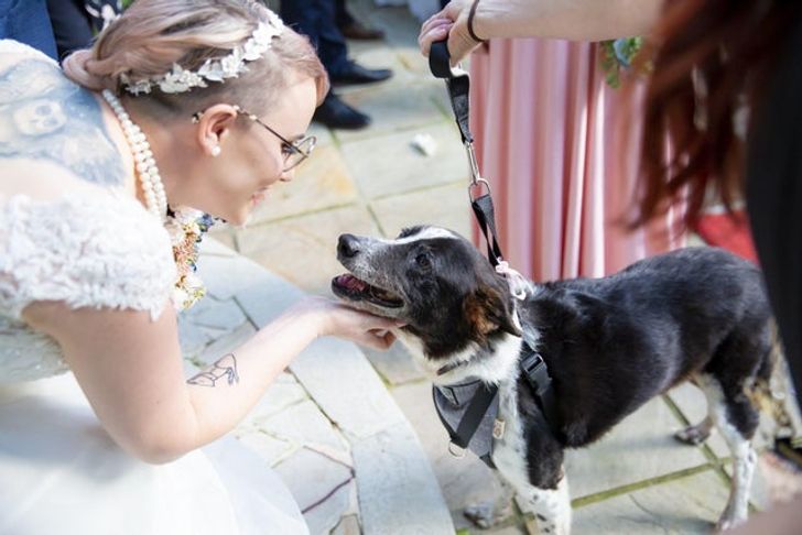 2c853e5127a4e17a04d1588391