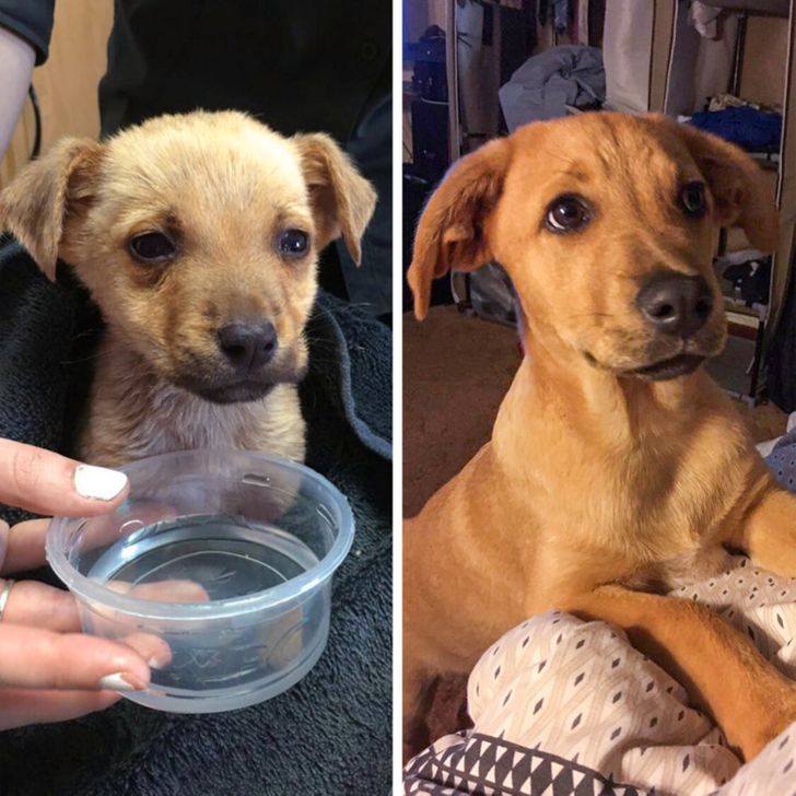 2c89435283b9a2ce23c07efdce