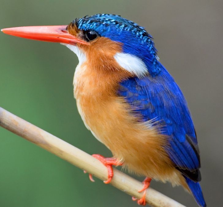 2c901759e58e57c9282e2f2758