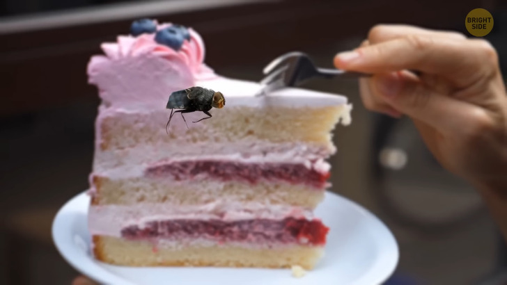 2c9567506ea7238c43404feb5f 2c9567506ea7238c43404feb5f