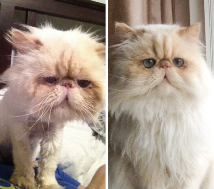 2c9a7251f593a60e7d703990c6