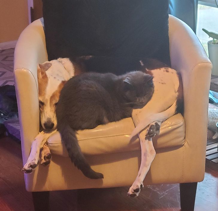 2c9a8f5805bcf25a6e3cede7dc