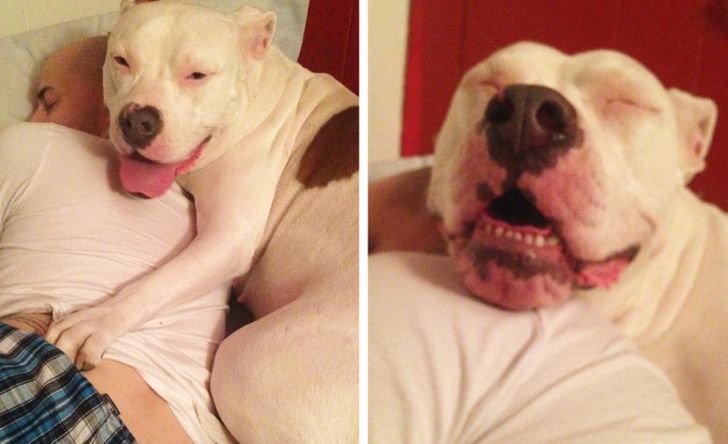 2c9e57510a8a7aa254825a7070