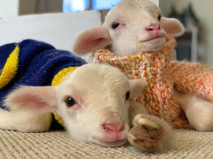 2c9e915892a33678d7e9586f4c