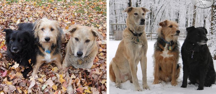 2ca35d54d8a749a38a86613de0