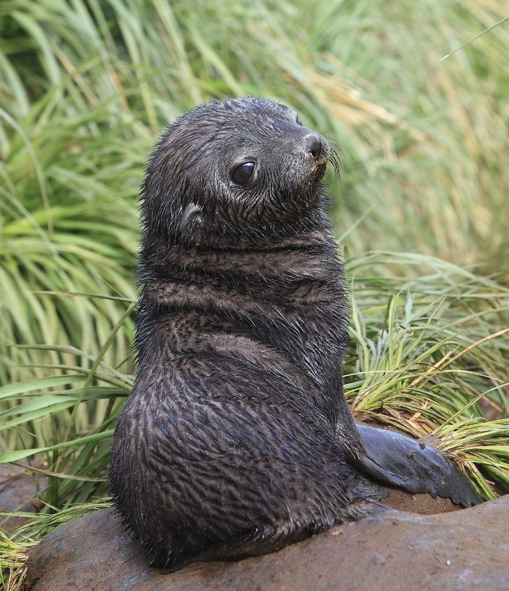 2ca7375aadabe4dc272b1152b7