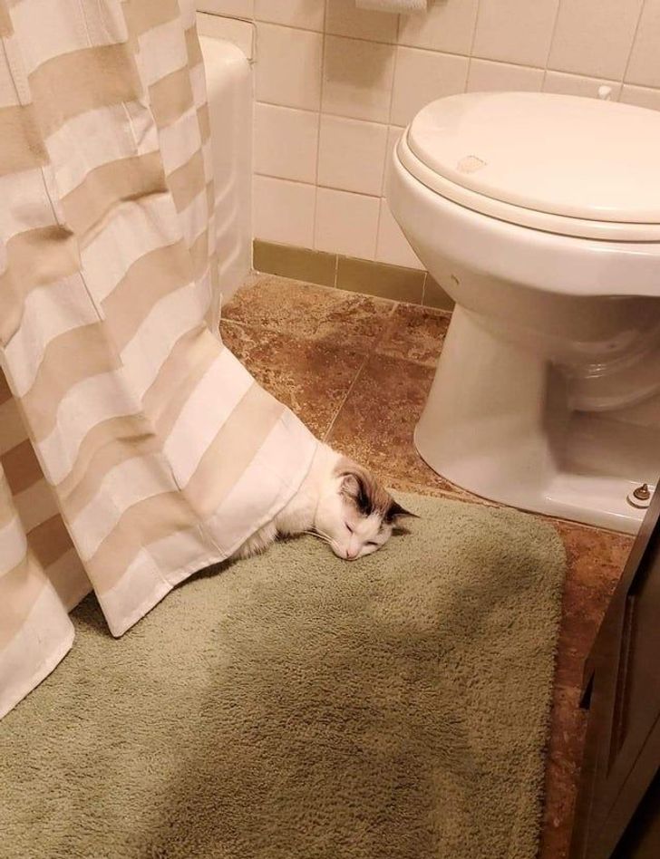 2cb7b4553fa945a7f7716a1749