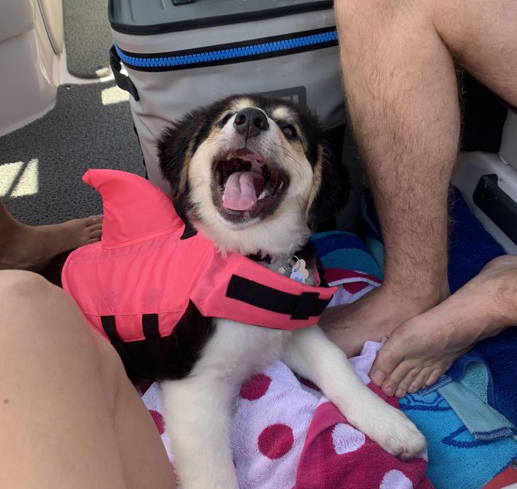 2cb85f5014b4dca6e5b4b2a3e1