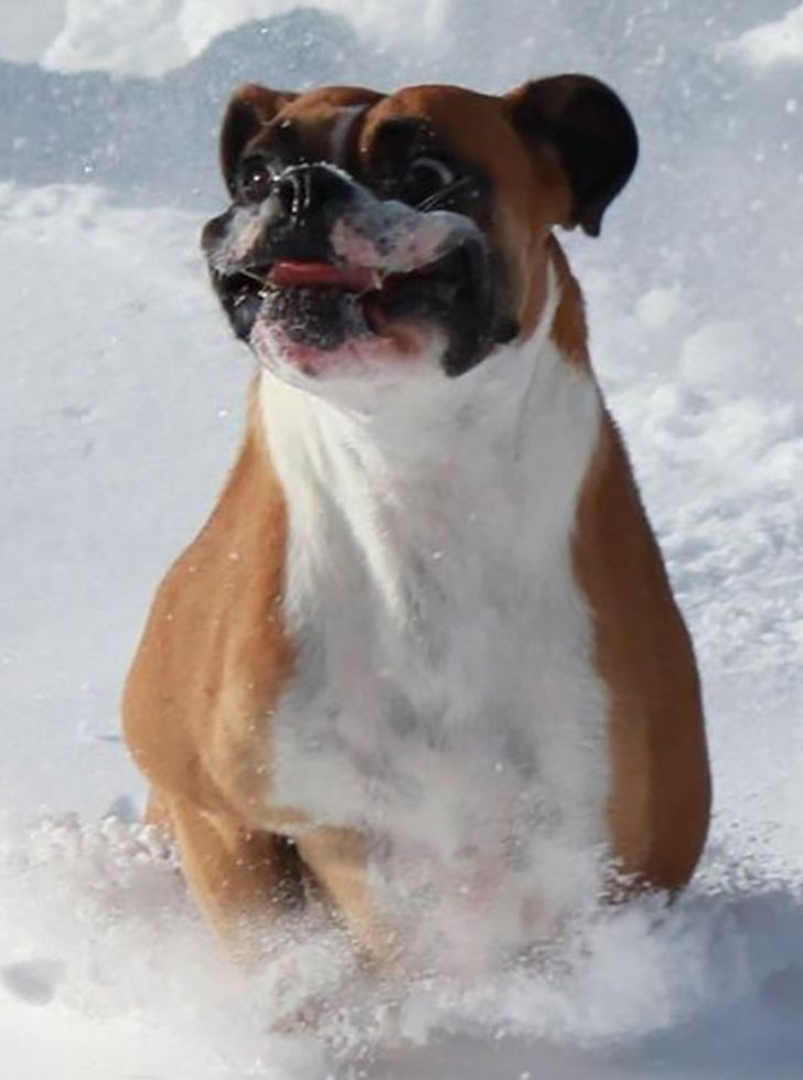 2cbbf955dcb390c8988dc9e40b