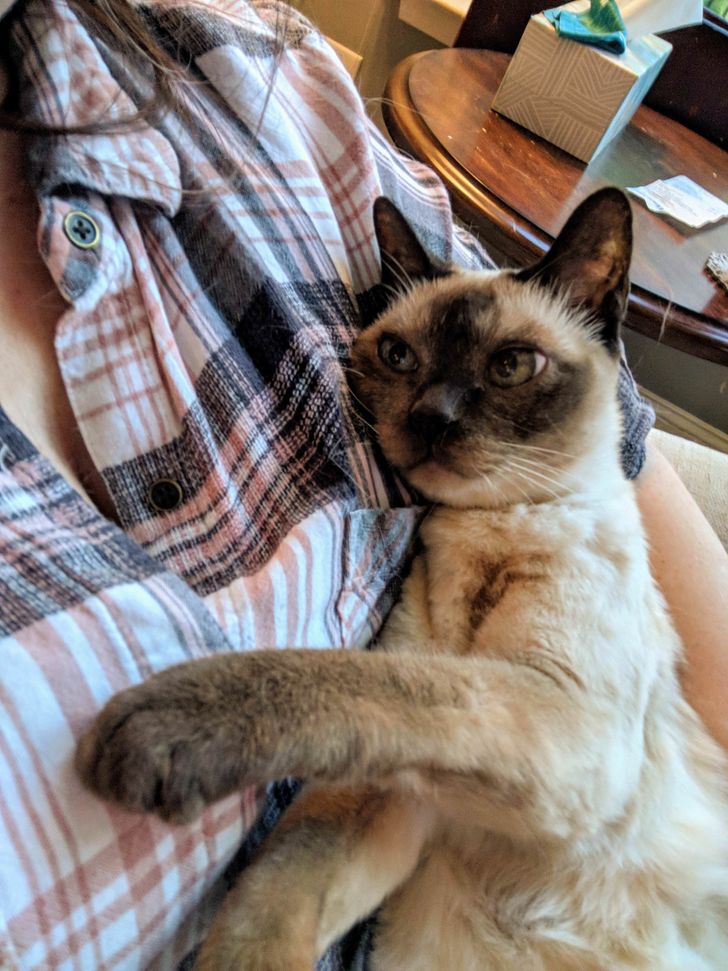 2cc74759ca870f0b6ab429af86 2cc74759ca870f0b6ab429af86