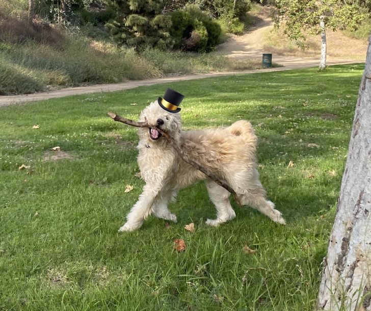 2cc75958eb879c99017852643b