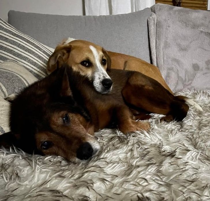 2cc8235d4d9d48c5c9651be7c8 2cc8235d4d9d48c5c9651be7c8