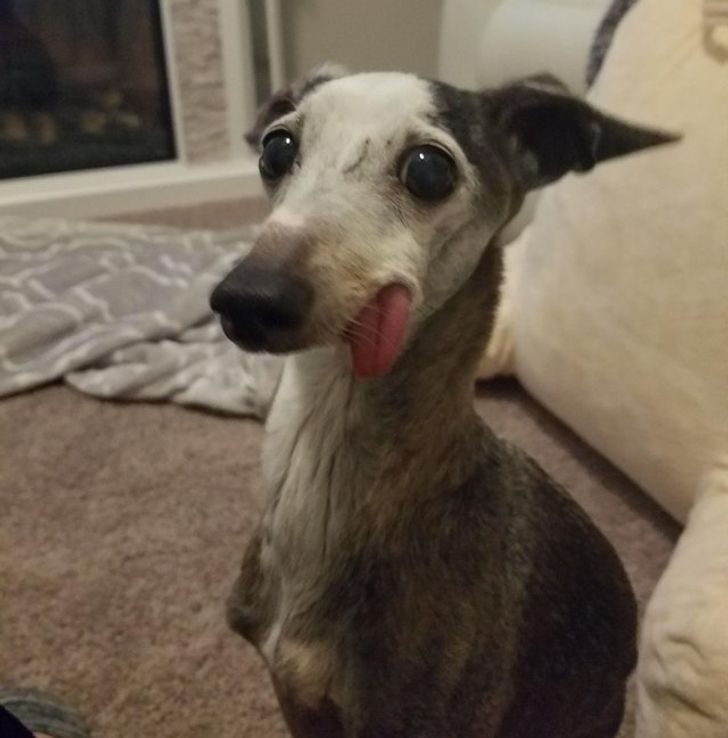 2ccf3155aa9ced28571e7fb36c