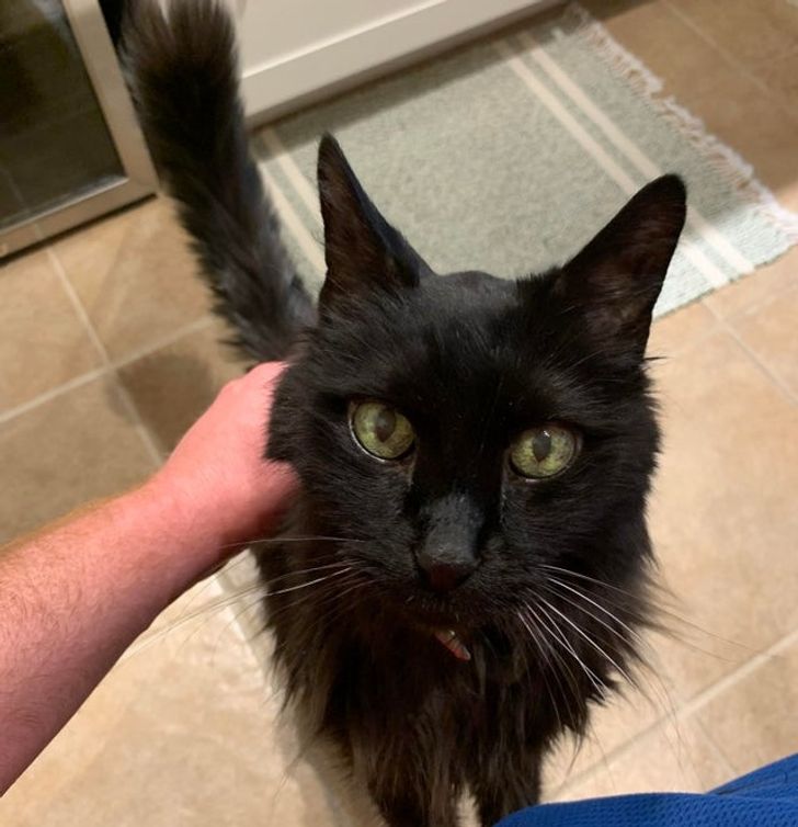 2cd4745a7ab7a1d05448a96969