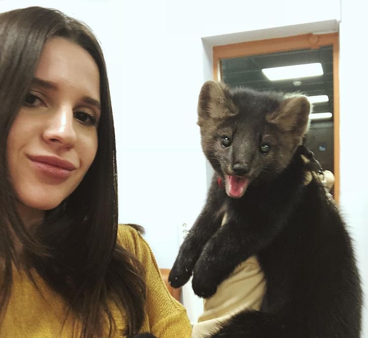 2cdf6659c49f9356d7a942f4a7