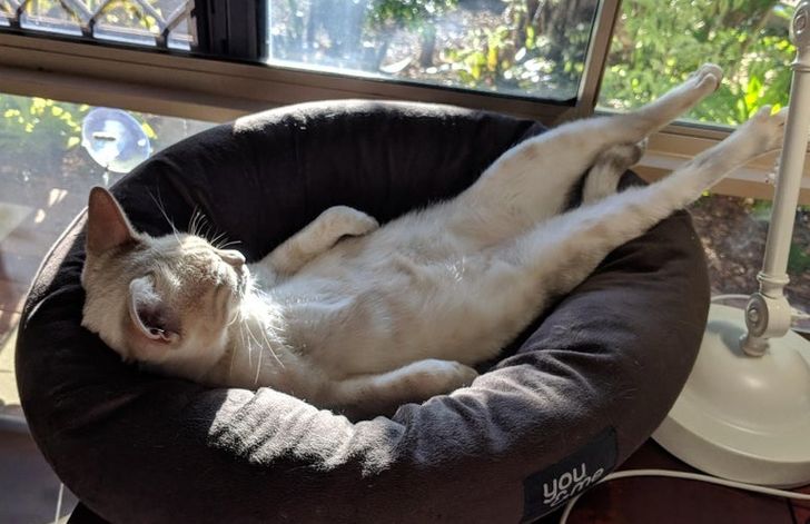 2cdf8f5d80805794308182fb3a 2cdf8f5d80805794308182fb3a