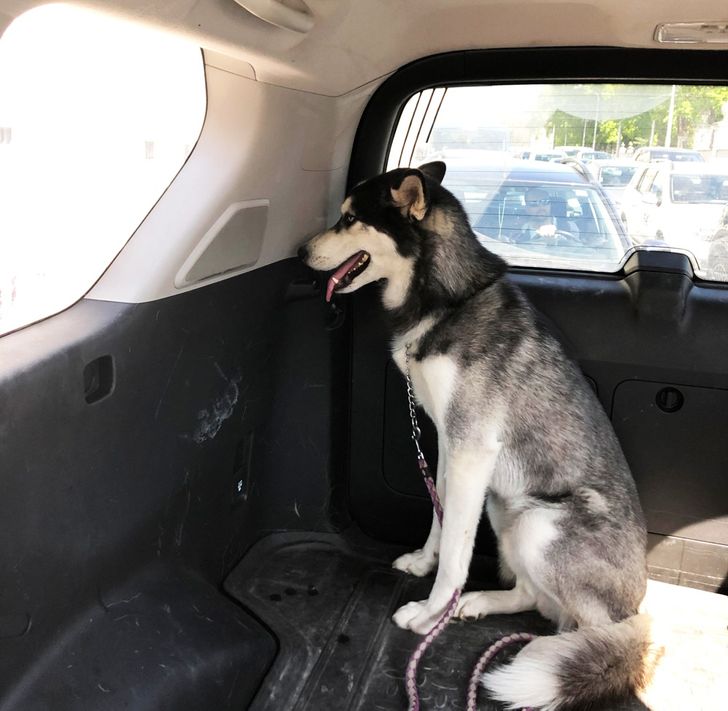 2cdfcc59b59e9f539380188c64