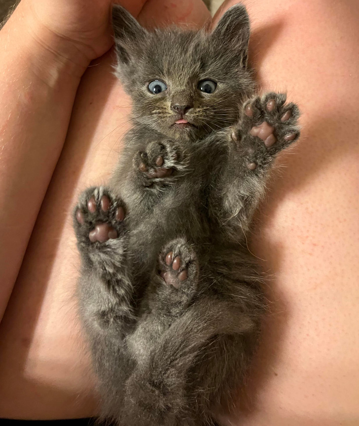 2ce2095ce7984d2c09d85ac961