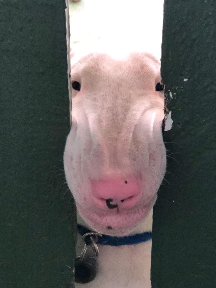 2cec1551238080d6b4eb733d7a