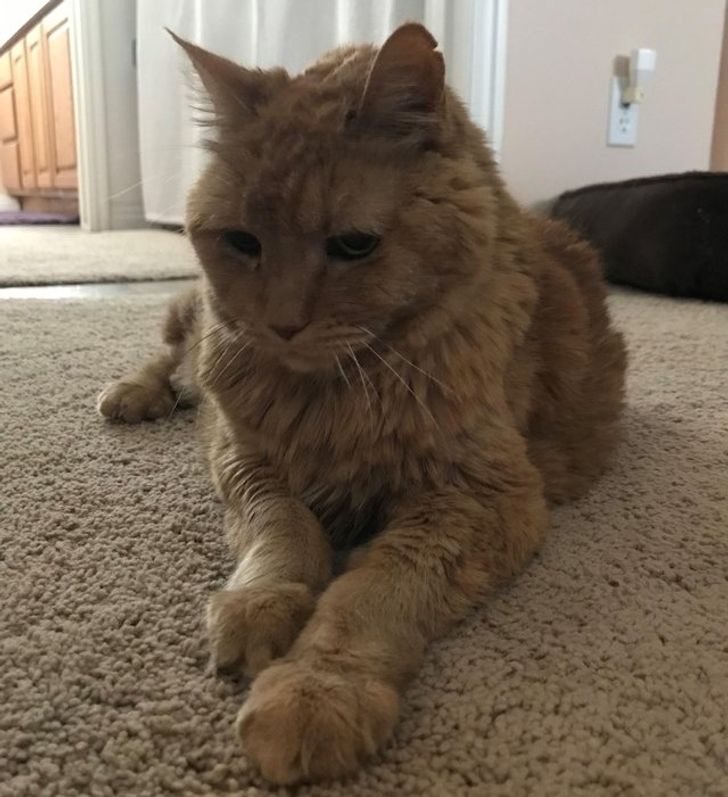 2cf01752a5836d5d52c732a253