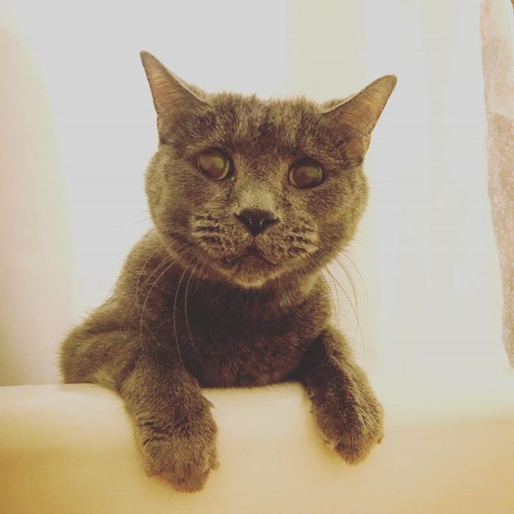 2cf0e55e4bbefbc8baa6eea9db