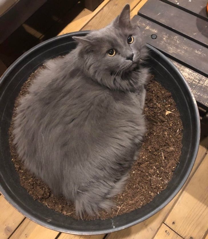 2d029b5eeaace765dabaed4827