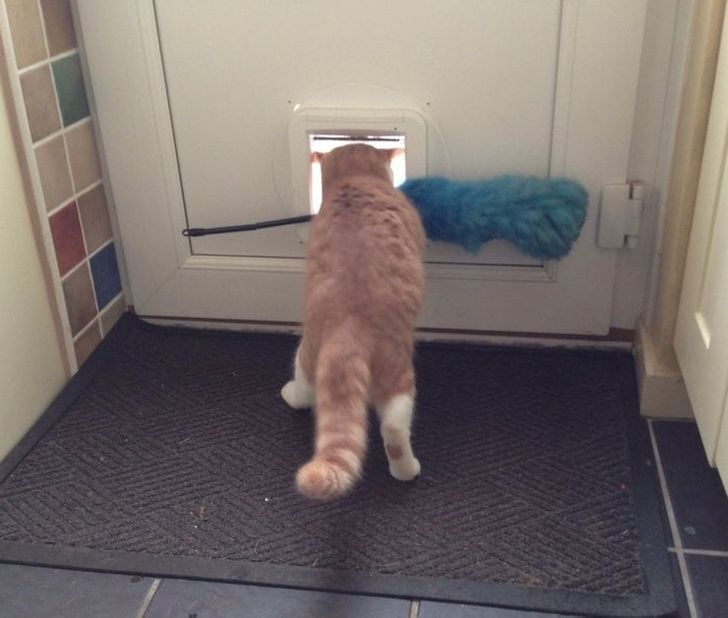 2d02b3562889f7a07acadd55d7