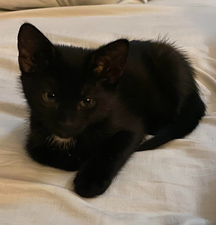 2d04555f8fa115b2fb36204fc4