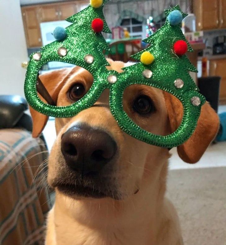 2d049257d8a54d075aec7cb4ba