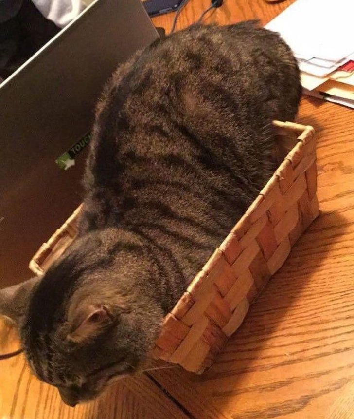 2d0b2e54738331ea7a8243ad25