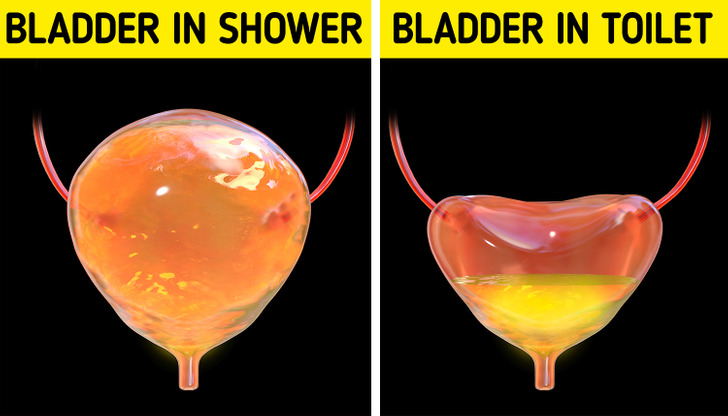 2d10b35087b973251b85a40250