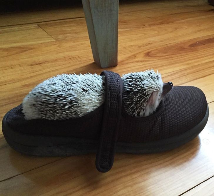 2d1167599dbeb5d92366f4344e