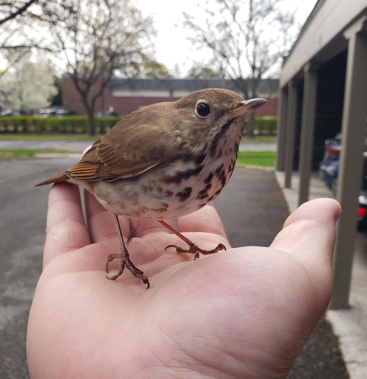 2d15555b568fe00d246f192405