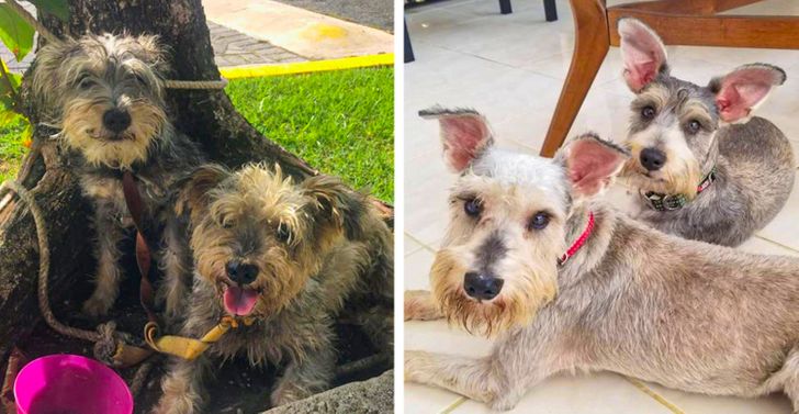 2d18165d94b158c6fb3c4f2a0c