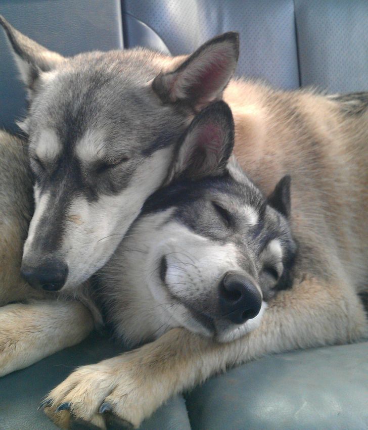 2d1d1f501287d38d1fc976b4e7