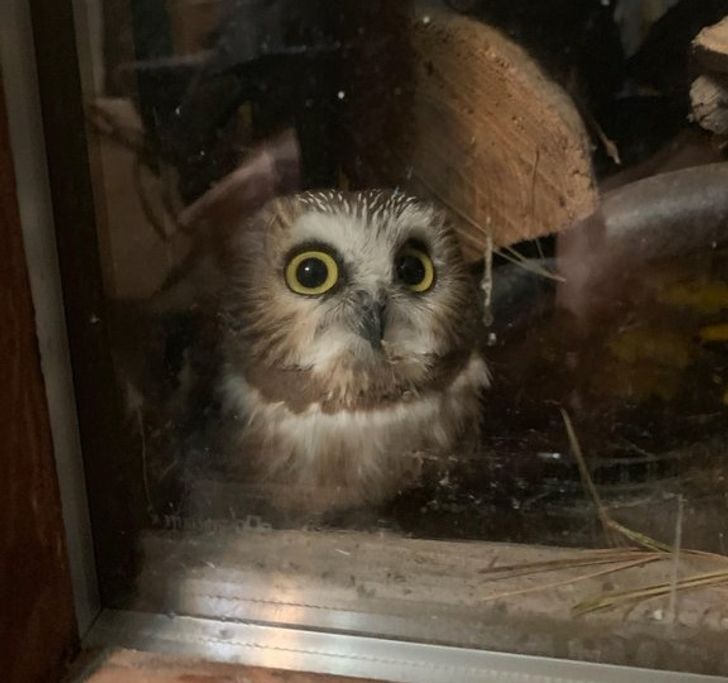 2d1df15161ada1e6638daa925e