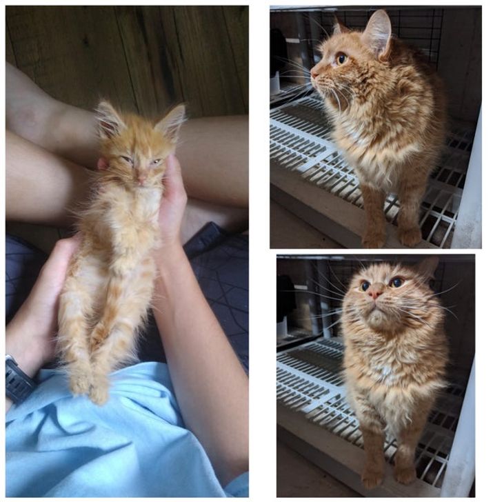 2d2a345751a617750f7a0963dc