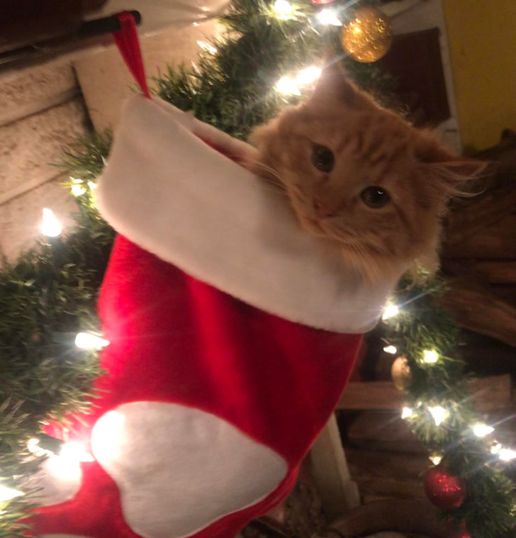 2d3059586a8ef6428837c6febf 2d3059586a8ef6428837c6febf