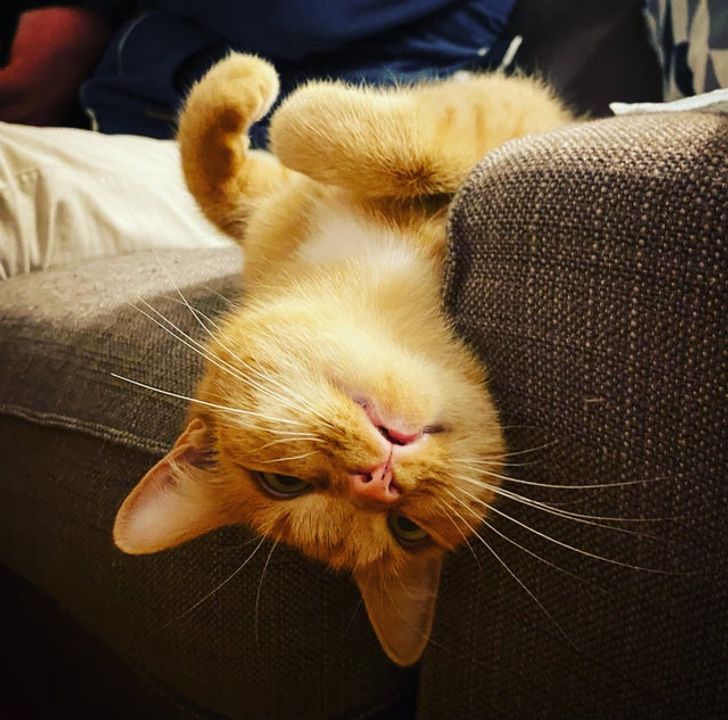 2d34725339850d08e935c80e0e