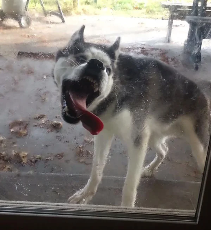 2d39d95d4ea7f25c39774df96a 2d39d95d4ea7f25c39774df96a